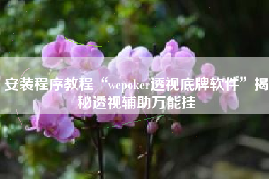 安装程序教程“wepoker透视底牌软件	”揭秘透视辅助万能挂