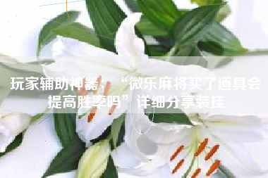 玩家辅助神器：“微乐麻将买了道具会提高胜率吗	”详细分享装挂