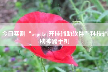 今日实测“wepoker开挂辅助软件”科技辅助神器手机