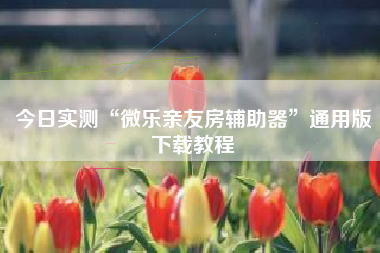 今日实测“微乐亲友房辅助器”通用版下载教程