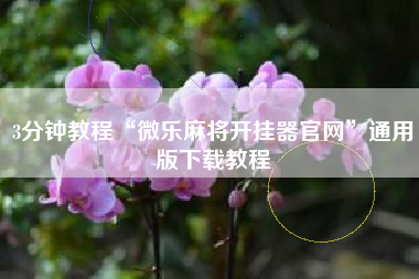 3分钟教程“微乐麻将开挂器官网	”通用版下载教程