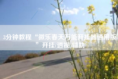 3分钟教程“微乐春天万能开挂器通用版”开挂(透视)辅助