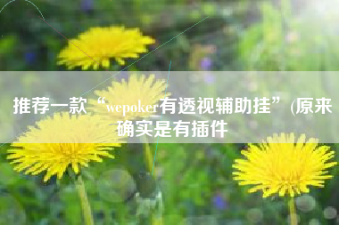 推荐一款“wepoker有透视辅助挂	”(原来确实是有插件
