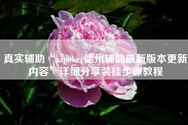 真实辅助“aapoker德州辅助最新版本更新内容	”详细分享装挂步骤教程