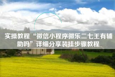 实操教程“微信小程序微乐二七王有辅助吗	”详细分享装挂步骤教程