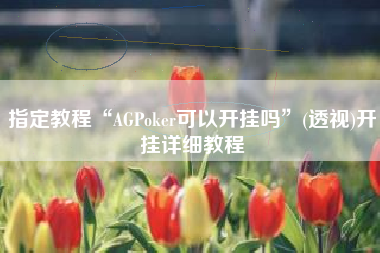 指定教程“AGPoker可以开挂吗	”(透视)开挂详细教程