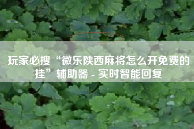 玩家必搜“微乐陕西麻将怎么开免费的挂”辅助器 - 实时智能回复