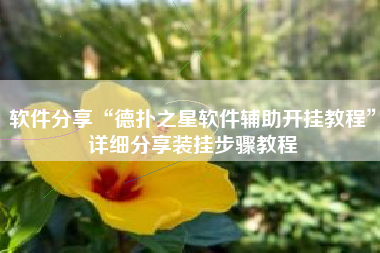 软件分享“德扑之星软件辅助开挂教程”详细分享装挂步骤教程