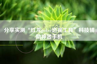 分享实测“红龙poker透视工具	”科技辅助神器手机