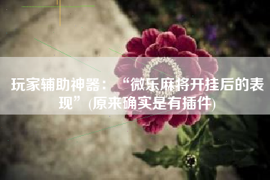 玩家辅助神器：“微乐麻将开挂后的表现	”(原来确实是有插件)