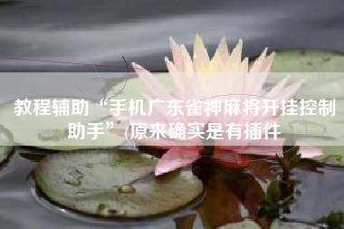 教程辅助“手机广东雀神麻将开挂控制助手”(原来确实是有插件