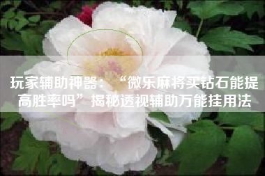 玩家辅助神器：“微乐麻将买钻石能提高胜率吗”揭秘透视辅助万能挂用法