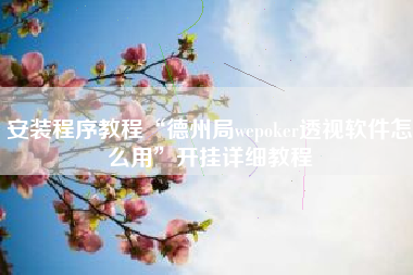 安装程序教程“德州局wepoker透视软件怎么用”开挂详细教程