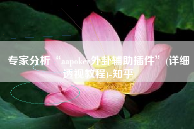 专家分析“aapoker外卦辅助插件	”(详细透视教程)-知乎