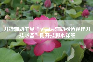 开挂辅助工具“AGpoker辅助器透视挂开挂必备”附开挂脚本详细