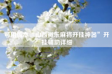 可用版本“山西微乐麻将开挂神器	”开挂辅助详细