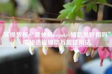 实操教程“德州局wepoker辅助器好用吗”揭秘透视辅助万能挂用法