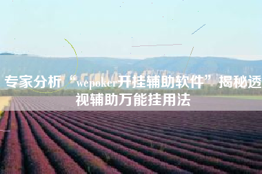 专家分析“wepoker开挂辅助软件	”揭秘透视辅助万能挂用法