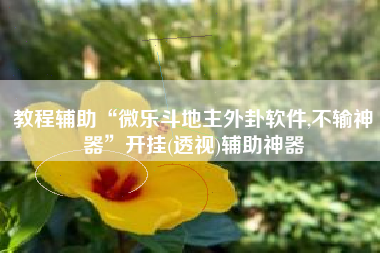 教程辅助“微乐斗地主外卦软件,不输神器”开挂(透视)辅助神器