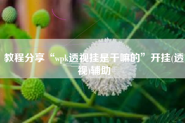 教程分享“wpk透视挂是干嘛的”开挂(透视)辅助