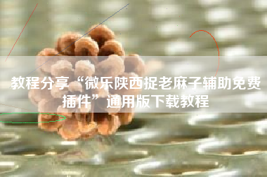 教程分享“微乐陕西捉老麻子辅助免费插件”通用版下载教程