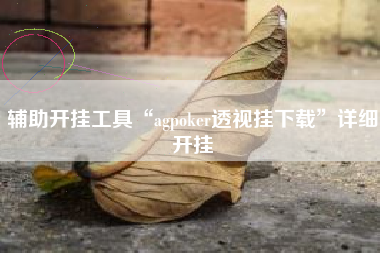 辅助开挂工具“agpoker透视挂下载”详细开挂
