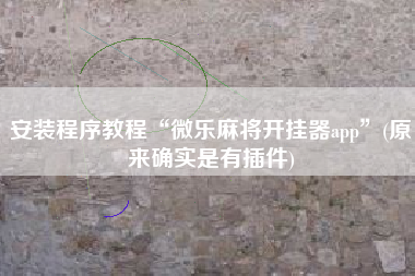 安装程序教程“微乐麻将开挂器app”(原来确实是有插件)