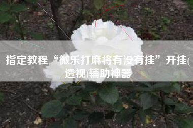 指定教程“微乐打麻将有没有挂”开挂(透视)辅助神器