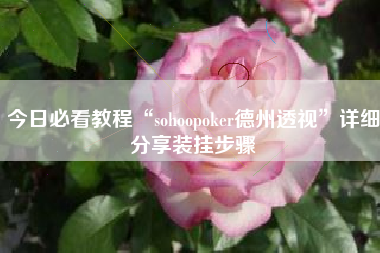 今日必看教程“sohoopoker德州透视	”详细分享装挂步骤