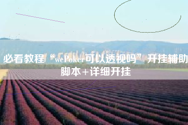 必看教程“wePoker可以透视吗”开挂辅助脚本+详细开挂