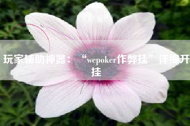 玩家辅助神器：“wepoker作弊挂”详细开挂