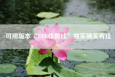 可用版本“WPK作弊挂”其实确实有挂