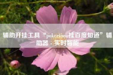 辅助开挂工具“pokertime挂百度知道”辅助器 - 实时智能