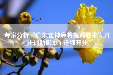 专家分析“广东雀神麻将提高胜率”开挂辅助脚本+详细开挂