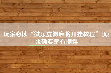 玩家必读“微乐安徽麻将开挂教程”(原来确实是有插件