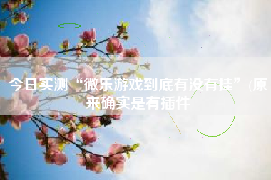 今日实测“微乐游戏到底有没有挂”(原来确实是有插件