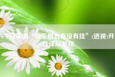 今日实测“微乐刨幺有没有挂”(透视)开挂详细教程