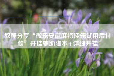 教程分享“微乐安徽麻将挂先试用后付款”开挂辅助脚本+详细开挂