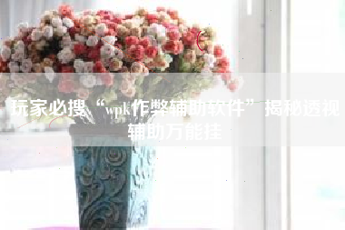 玩家必搜“wpk作弊辅助软件	”揭秘透视辅助万能挂