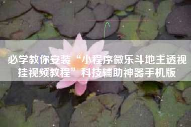 必学教你安装“小程序微乐斗地主透视挂视频教程	”科技辅助神器手机版