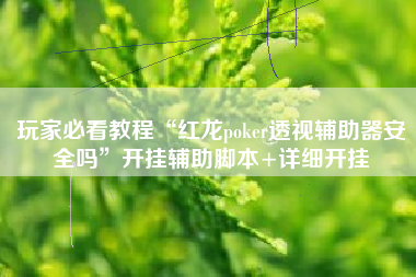 玩家必看教程“红龙poker透视辅助器安全吗”开挂辅助脚本+详细开挂