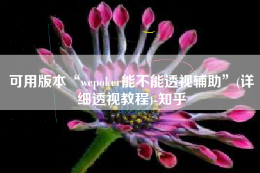 可用版本“wepoker能不能透视辅助	”(详细透视教程)-知乎