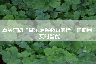 真实辅助“微乐麻将必赢的挂	”辅助器 - 实时智能