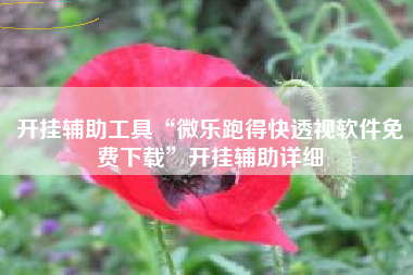 开挂辅助工具“微乐跑得快透视软件免费下载”开挂辅助详细