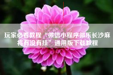 玩家必看教程“微信小程序微乐长沙麻将有没有挂	”通用版下载教程