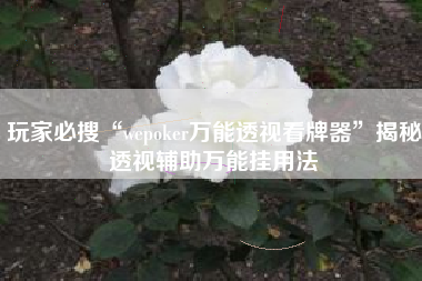 玩家必搜“wepoker万能透视看牌器”揭秘透视辅助万能挂用法
