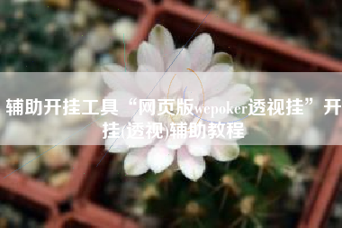 辅助开挂工具“网页版wepoker透视挂	”开挂(透视)辅助教程