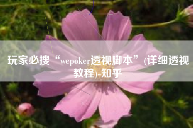 玩家必搜“wepoker透视脚本	”(详细透视教程)-知乎