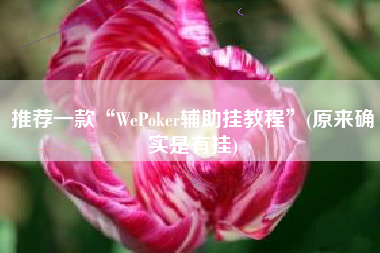 推荐一款“WePoker辅助挂教程	”(原来确实是有挂)