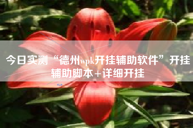 今日实测“德州wpk开挂辅助软件	”开挂辅助脚本+详细开挂